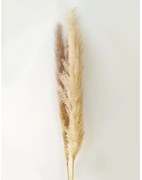 Umelá pampová tráva 150 cm