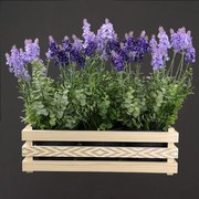 AMADEA Drevený obal na tri kvetináče s motívom kosoštvorcov, 47x17x15cm, drevený kvetináč