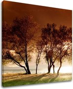 Obraz na stenu STROMY ST026E12