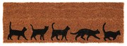 Vonkajšia rohožka Cats, 75x25 cm