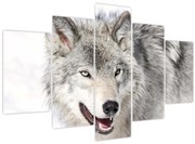 Obraz - Vlk v prírode (150x105 cm)
