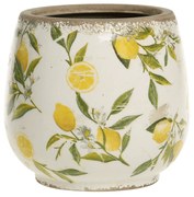 Citrónový obal na kvetináč Limone Variant: A