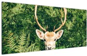 Obraz - detail srnčej hlavy (120x50 cm)