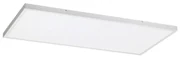 Rabalux 71079 - LED Prisadený panel DAMEK LED/80W/230V 4000K 120x60 cm RL71079