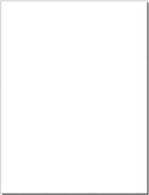 Obklad Fineza White collection biela 25x33 cm lesk WHITEB000