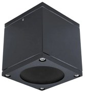 Palnas 66003511 - Vonkajšie nástenné svietidlo TIMUR 1xGU10/10W/230V IP54