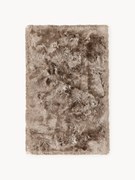 Lesklý koberec's vysokým vlasom Jimmy