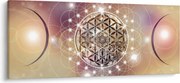 Obraz - Mandala s elementmi (120x50 cm)