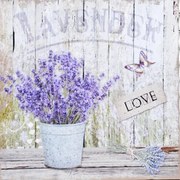 Obraz tlačený na plátne 40x40 PRC970