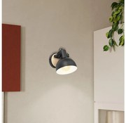 Eglo 43164 - Nástenné svietidlo LUBENHAM 1xE27/28W/230V