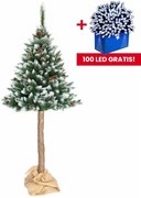 Luxusná zasnežená vianočná borovica na pni 160 cm