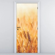 Fototapeta na dvere - Pole s obilím (95x205cm)