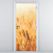 Fototapeta na dvere - Pole s obilím (95x205cm)