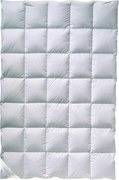 XXXLutz CELOROČNÁ PRIKRÝVKA, 155/220 cm, kačacie páperie, kačacie perie Billerbeck - Prikrývky & vankúše - 003279054202