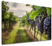 Obraz na stenu HROZNO_091-11 | rôzne rozmery