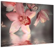 Obraz - Kvety a motýľ (70x50 cm)