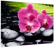 Obraz - Ružové orchidey s palmovým listom (70x50 cm)