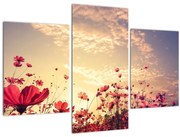 Obraz - Lúka s kvetmi (90x60 cm)