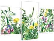 Obraz - Maľované lúčne kvety (90x60 cm)