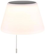 Globo 36000 - LED Solárne tienidlo na fľašu 10xLED/1,5W/3V IP44