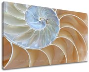 Obraz na stenu ABSTRAKT | rôzne rozmery