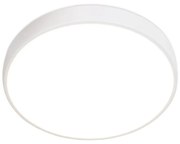 TOP LIGHT Svetlo nástenné-stropné Metal 40B RC, Biela