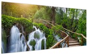 Obraz - Plitvické jazerá (120x50 cm)