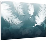 Obraz - Biela pierka (70x50 cm)