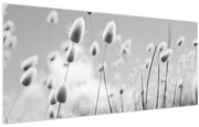 Obraz - Boho bunny tail grass (120x50 cm)