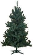Foxigy Vianočný stromček Smrek Strieborný 220cm