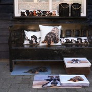 Podnos na nohy s jazvečíkom v okuliaroch Dachshund humour - 43*33*7cm