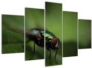 Obraz- Mucha (150x105 cm)