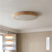 Brilagi - stmievateľné LED stropné svietidlo POOL LED/50W/230V pr. 40 cm, dekor dreva + diaľkový ovládač