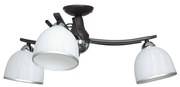 Stropné svietidlo AVIA 3xE27/60W/230V