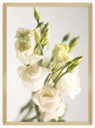 Plagát Elegant Flowers