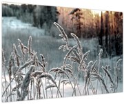 Obraz - Zamrznutá lúka (90x60 cm)