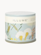 Vonná sviečka Vanity Tin (Jasmine & Salty Sea Air)