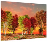 Obraz - Farebné stromy (70x50 cm)