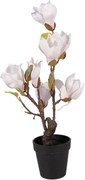 Dekoračný stromček Magnolia s ružovkastými kvetmi - 12*12*40 cm