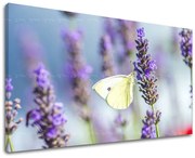 Obraz na stenu KVETY | rôzne rozmery