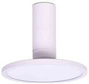 Rabalux 71328 - LED Stropné svietidlo OVIDIA LED/20W/230V 3000K biela