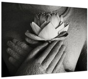 Obraz - Lotos v rukách Budhu (70x50 cm)