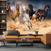 Fototapeta - Kone v púšti (147x102 cm)