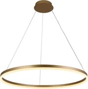 Brilagi - LED stmievateľný luster na lanku CIRCLE LED/55W/230V 3000-6500K zlatý s diaľkovým ovládaním