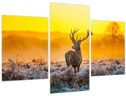 Obraz - Jeleň pri východe slnka (90x60 cm)