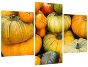 Obraz - Jesenná tekvica (90x60 cm)