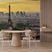 Fototapeta - Panoráma Paríža (147x102 cm)