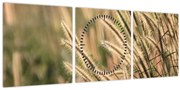 Obraz - Obilie (s hodinami) (90x30 cm)