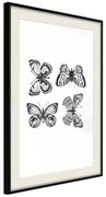 Artgeist Plagát - Four Butterflies [Poster] Veľkosť: 20x30, Verzia: Čierny rám s passe-partout