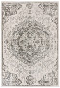 Sivo-krémový koberec 120x170 cm Nova – Asiatic Carpets
